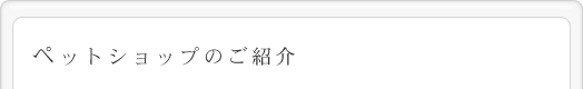 ペットショップのご紹介